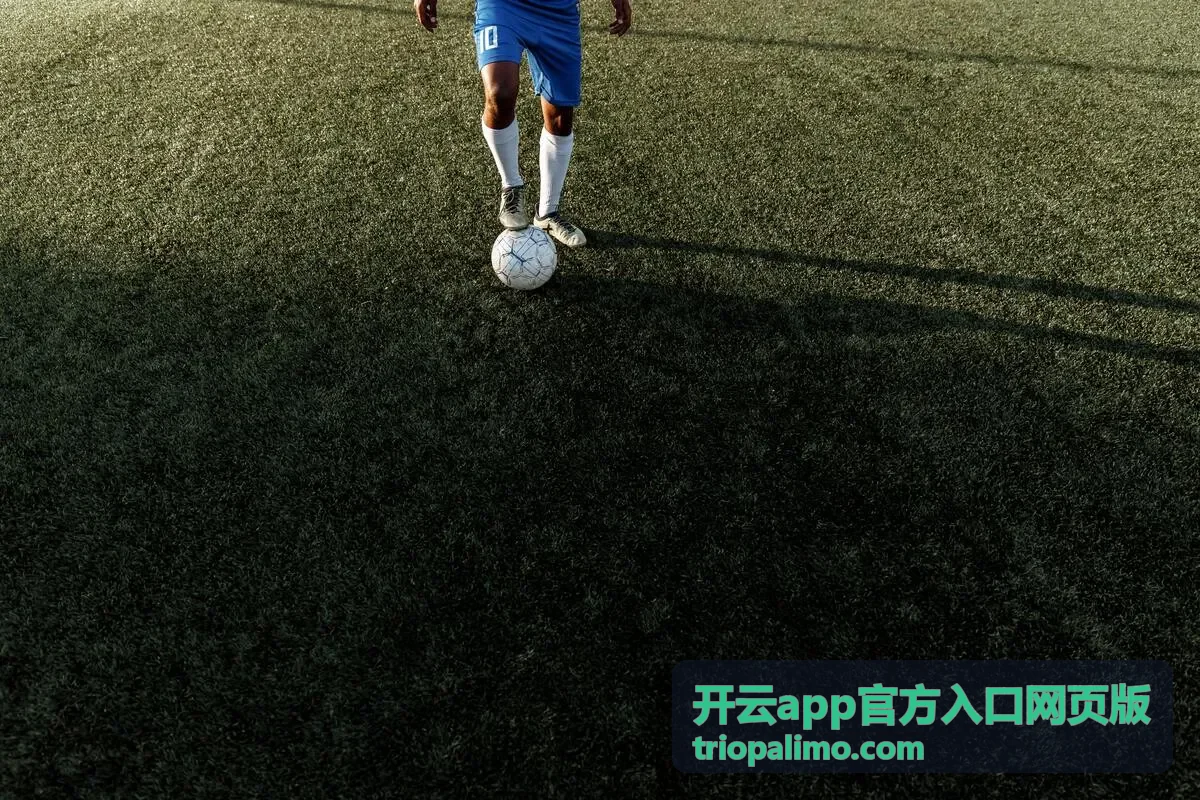 开云app官方入口网页版 首页主视觉